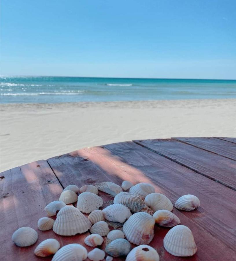 La Dolce Vita - Apartment With Shared Pool And Large Terrace Lido delle Nazioni Bagian luar foto